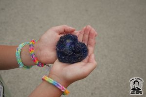 _DSC5832-
